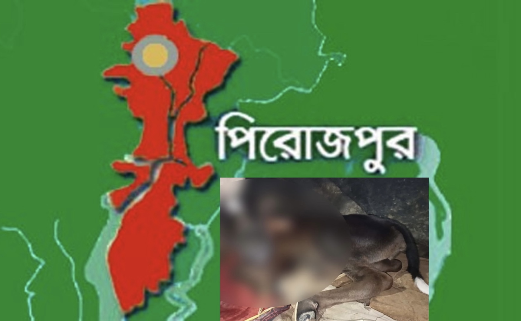 পিরোজপুরে অদ্ভুত এক গরুর জন্ম