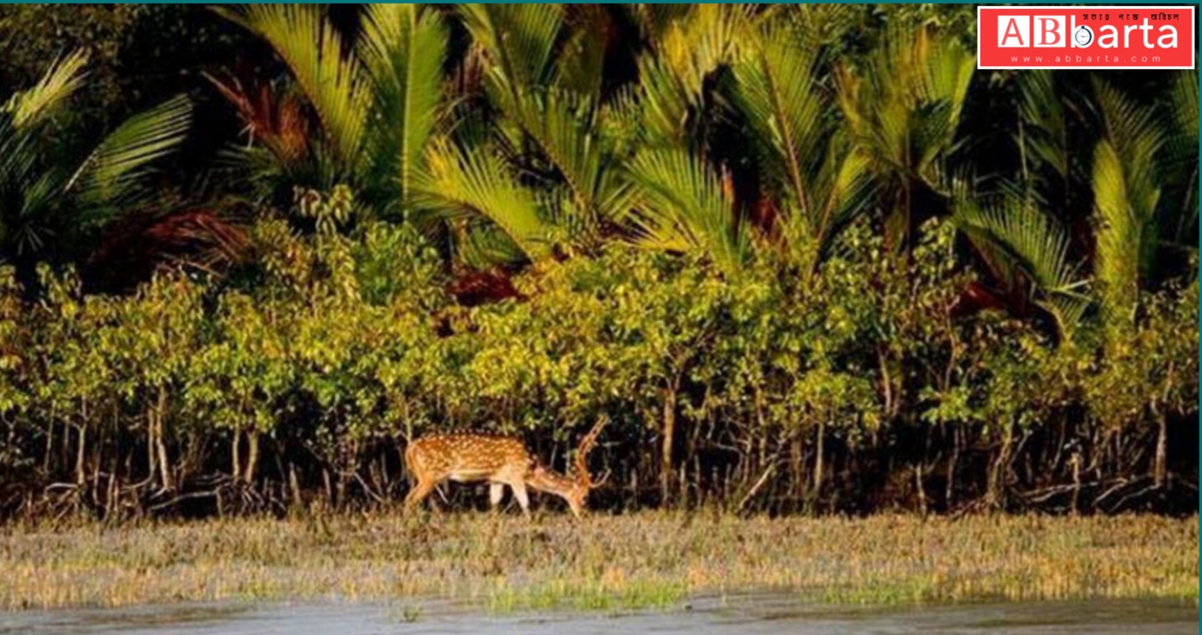 সুন্দরবনে তিন মাস প্রবেশে নিষেধাজ্ঞা